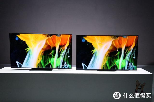 对比评测：小米电视大师65英寸OLED vs 索尼A9G 音画质表现谁更强