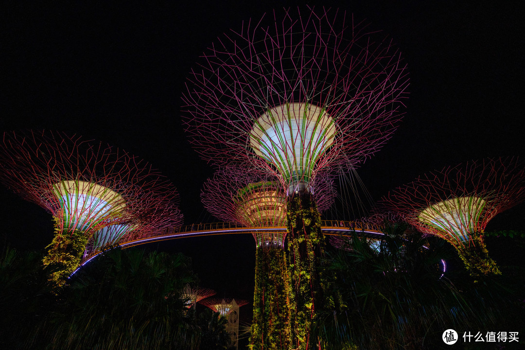 新加坡自由行——第一次来狮城必去的地方（近600+图，文末有无边泳池泳装）