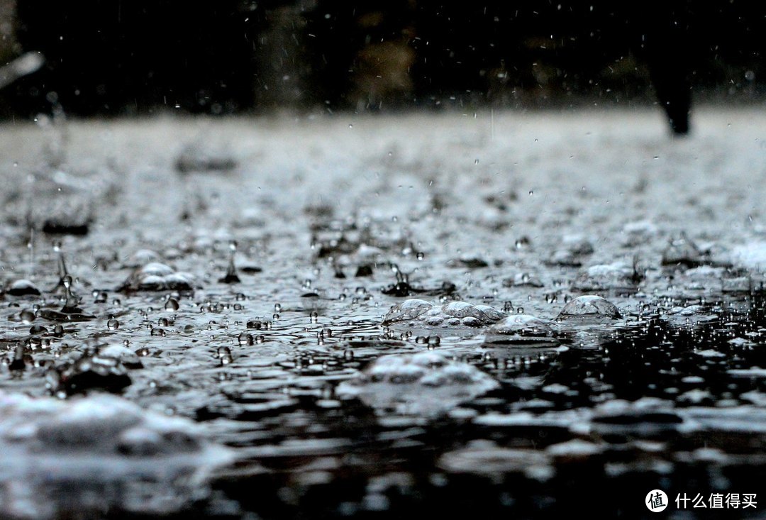 这个梅雨季好物，让人一秒爱上