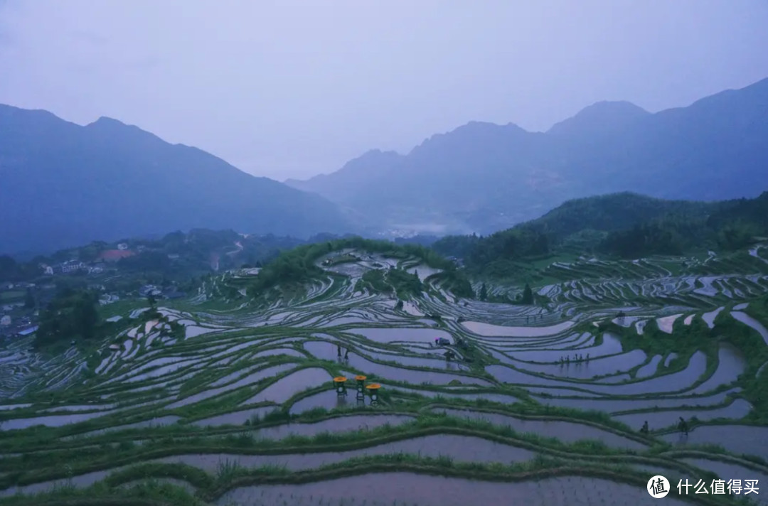 它，注定属于少数人的心头好