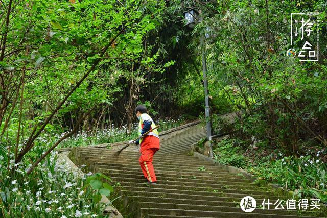 重庆是座大迷宫：跟随路牌前往李子坝，却被困山腰瑟瑟发抖