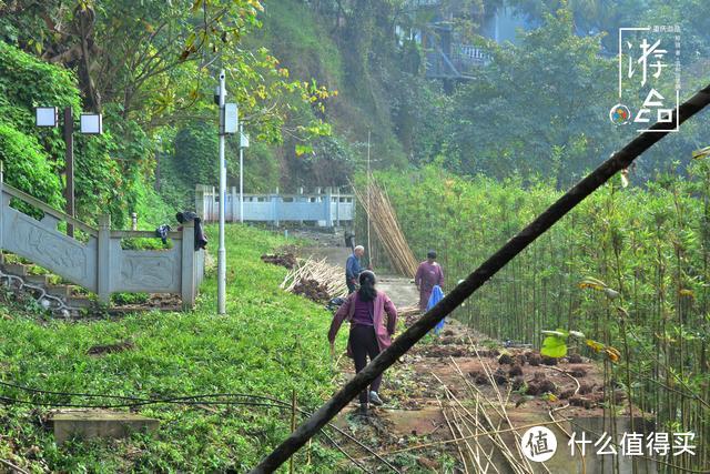 重庆是座大迷宫：跟随路牌前往李子坝，却被困山腰瑟瑟发抖