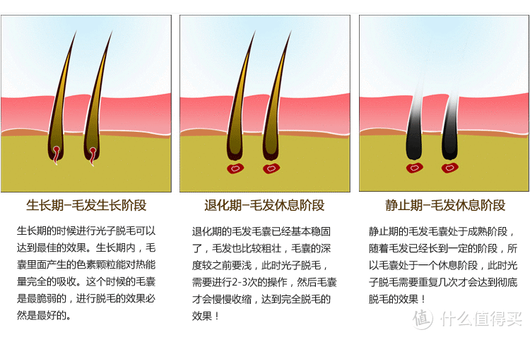 9种脱毛方式大PK！关于脱毛，你想知道的都在这儿了（建议收藏）