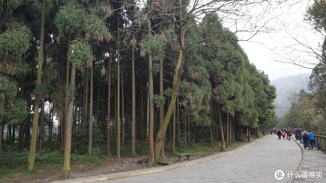 从飞沙堰往里走，路程不近，可以坐景区电瓶车