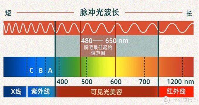 9种脱毛方式大PK！关于脱毛，你想知道的都在这儿了（建议收藏）