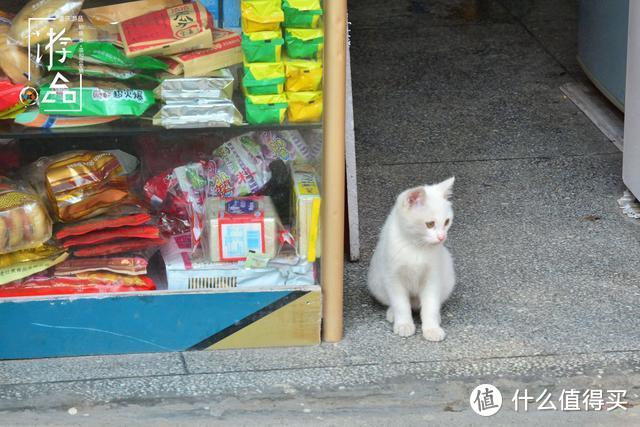 重庆常被误解的地名：权贵所在的鹅岭，是否应该恢复原名？