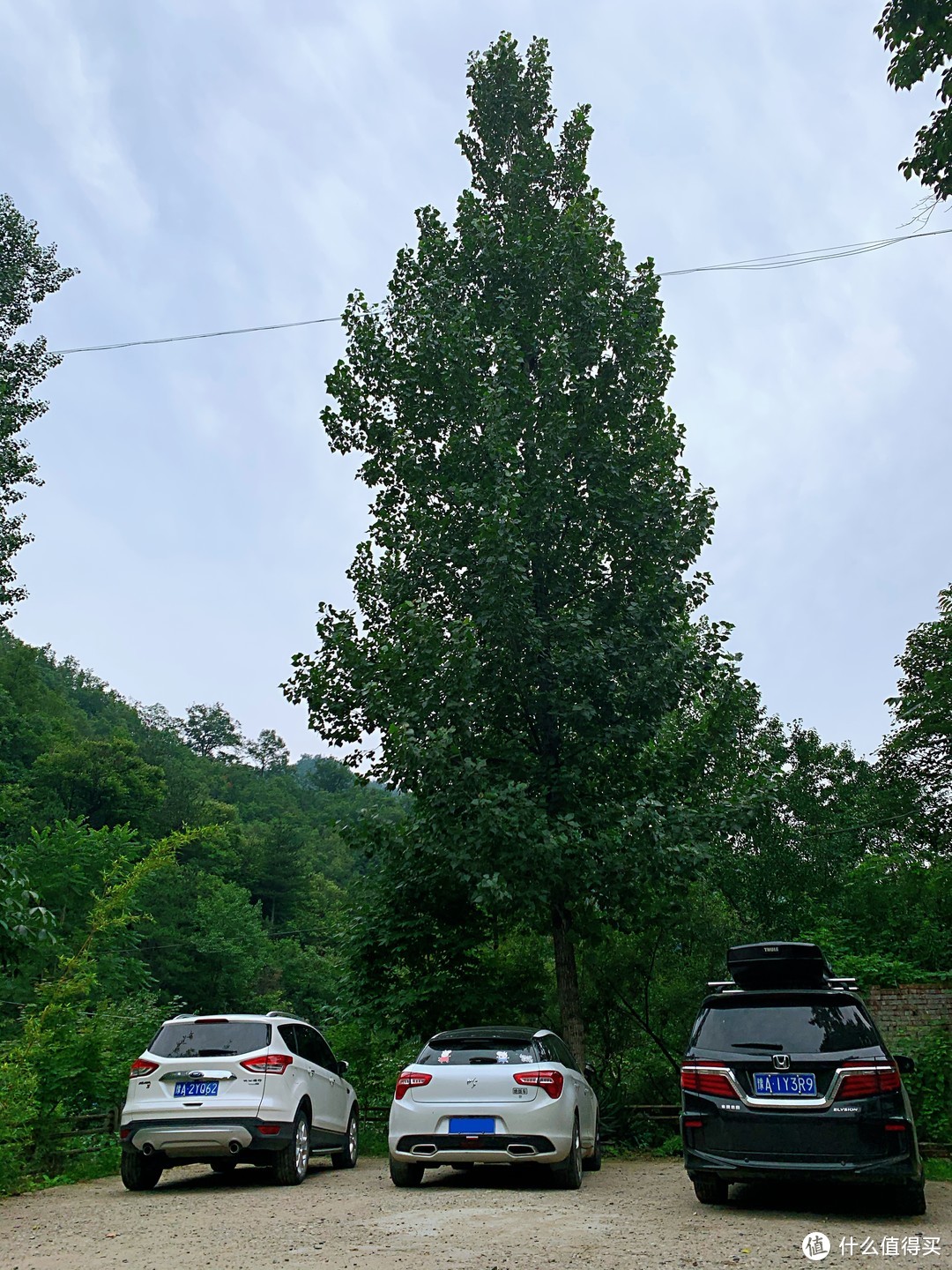 我们把车停到了楼下的树荫下，旁边很多远道而来的朋友已经住了一夜，有两家准备收拾收拾回去了呢