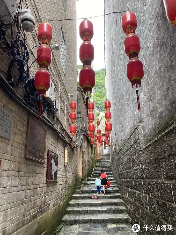 烟笼寒水月笼纱，夜泊舞阳近酒家；游者不知疫情起，隔江犹唱后庭花。