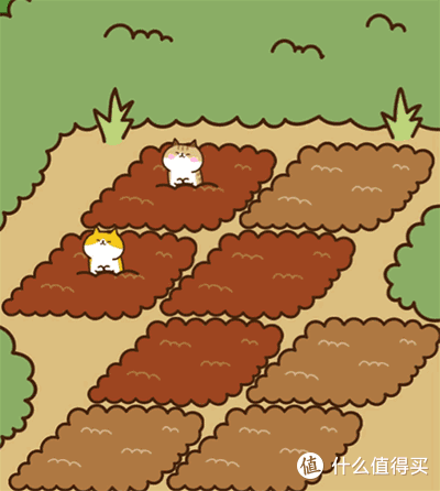 四,猫咪田园(测试版)