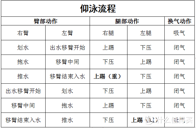 仰泳基础教学及装备选购