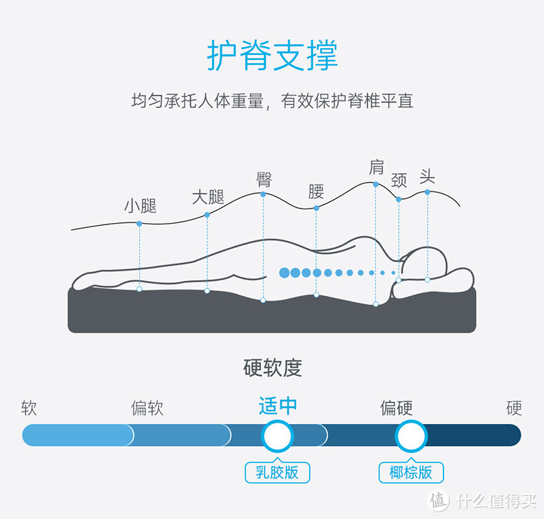 抗菌防螨软硬两用床垫-瞌睡猫蓝净灵C3简测晒单