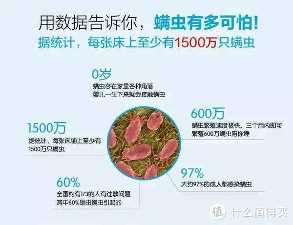 抗菌防螨软硬两用床垫-瞌睡猫蓝净灵C3简测晒单