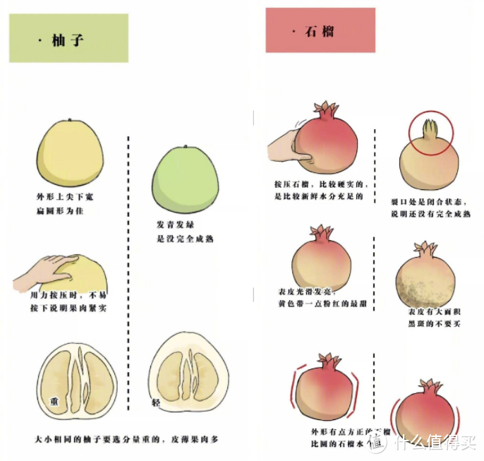 0~5岁小朋友夏天没胃口？哪些食材更适合夏天，怎挑选？一篇来解答！附10道宝宝辅食详细制作攻略