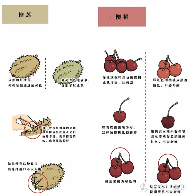 0~5岁小朋友夏天没胃口？哪些食材更适合夏天，怎挑选？一篇来解答！附10道宝宝辅食详细制作攻略