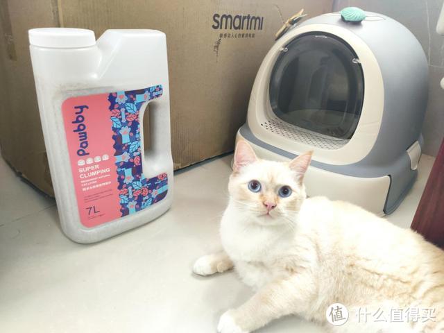 新晋铲屎官的猫砂取经之路：pawbby除臭植物猫砂尝鲜测评