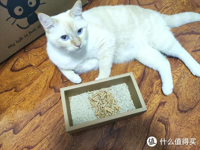 新晋铲屎官的猫砂取经之路：pawbby除臭植物猫砂尝鲜测评