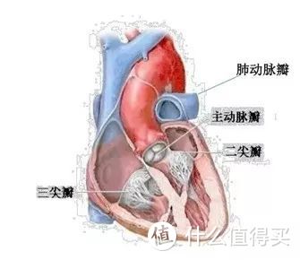 史上最全：65种重疾怎么理赔？建议收藏！