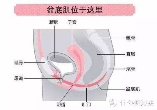 深蹲的好处是什么呢？如何正确的做深蹲？