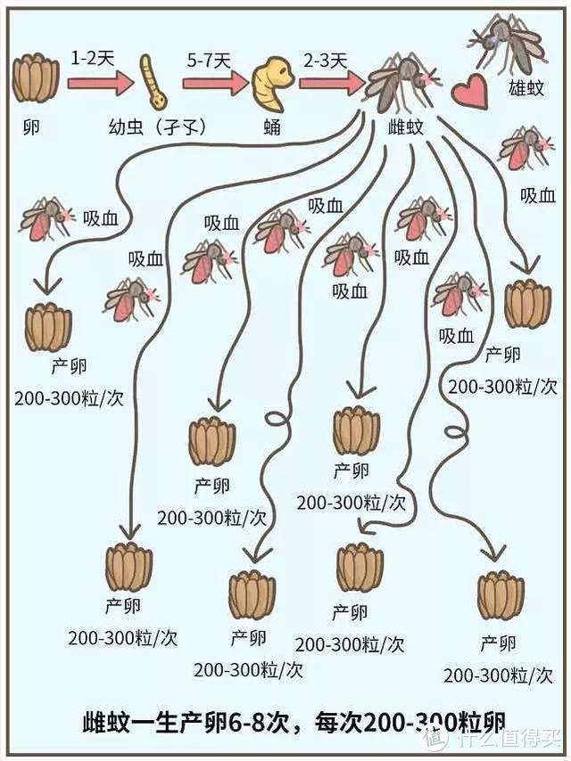 一楼带院子和低层带露台的房子，如何防蚊灭虫？建议收藏