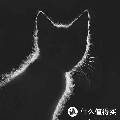 这是发光的猫，不是光猫