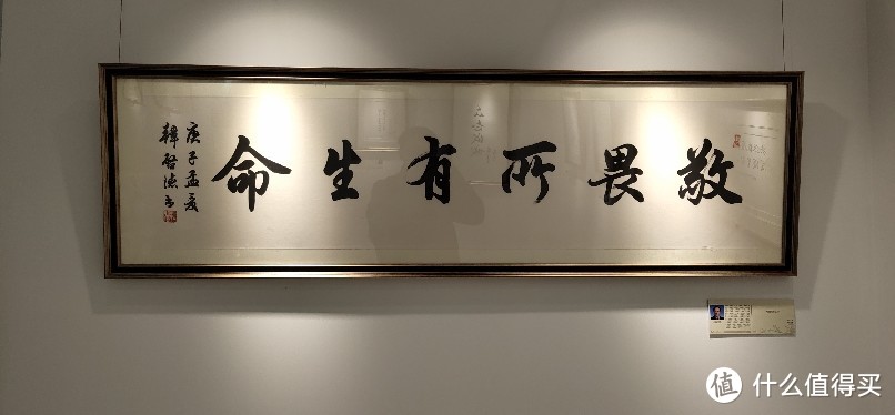 复旦大学上海医学院枫林路校区抗击新冠病毒医学展览，看抗疫白衣天使们