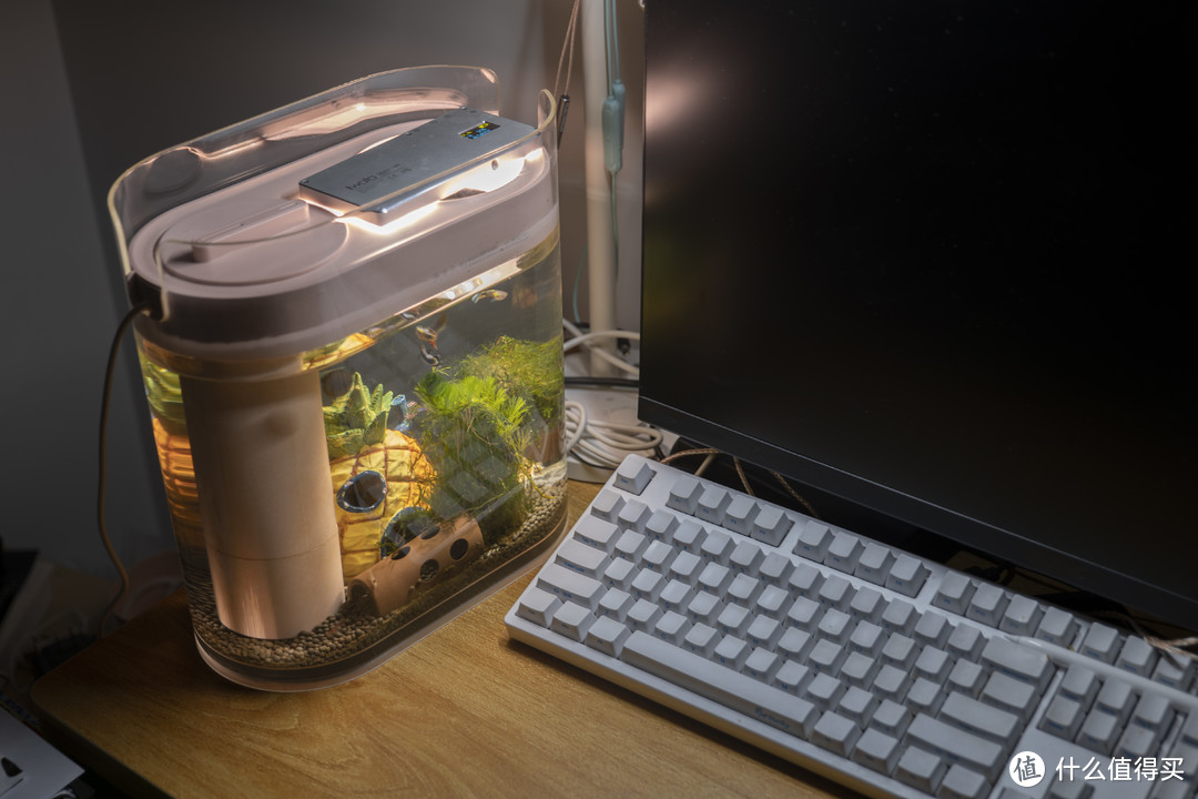 只需USB供电的鱼虾螺共养水草缸——画法几何小鱼缸