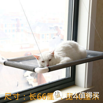 为什么需要猫咪玩具 猫咪玩具的选择需要注意哪些 什么值得买