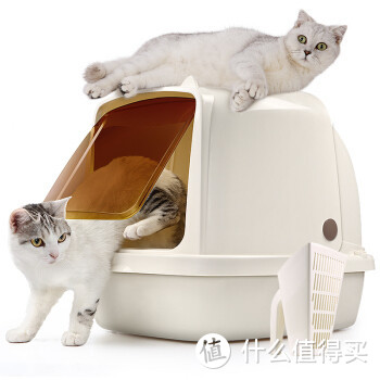 2020年养猫必备神器（二）三分钟带你了解猫厕所