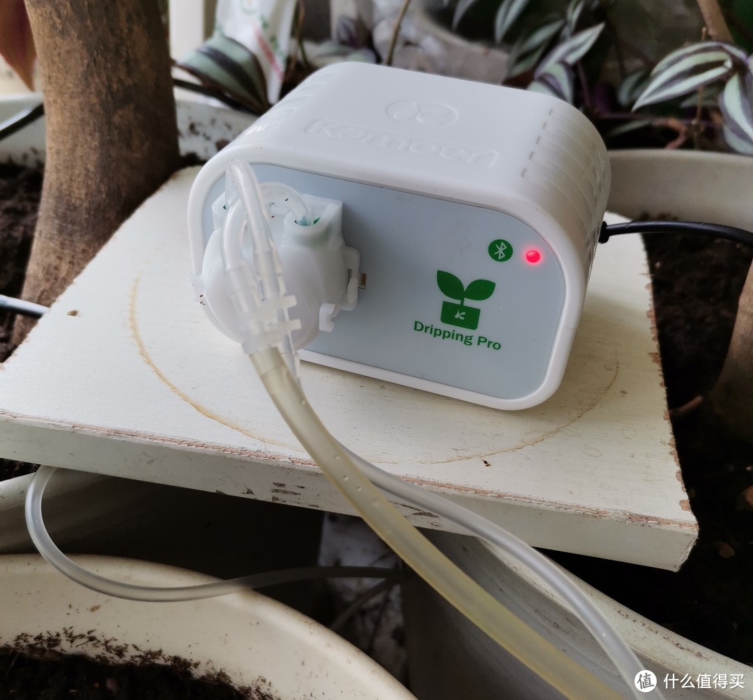 适合懒人养花的自动智能浇水管家:卡默尔 “智灌宝”自动智能浇花系统