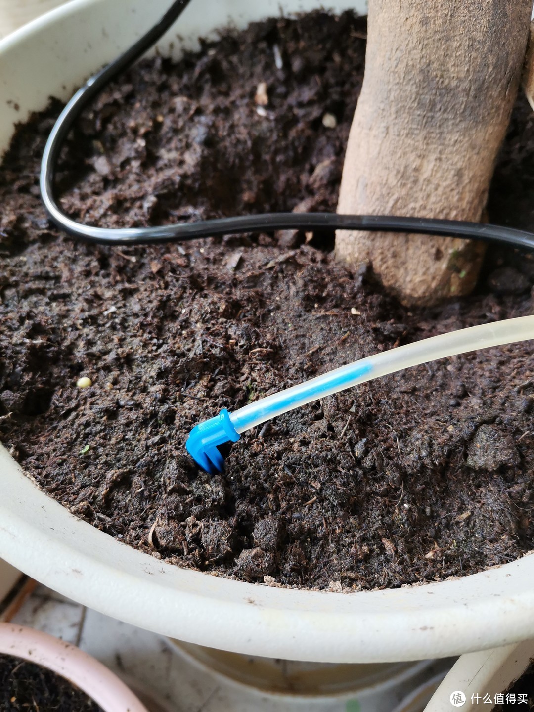 适合懒人养花的自动智能浇水管家:卡默尔 “智灌宝”自动智能浇花系统