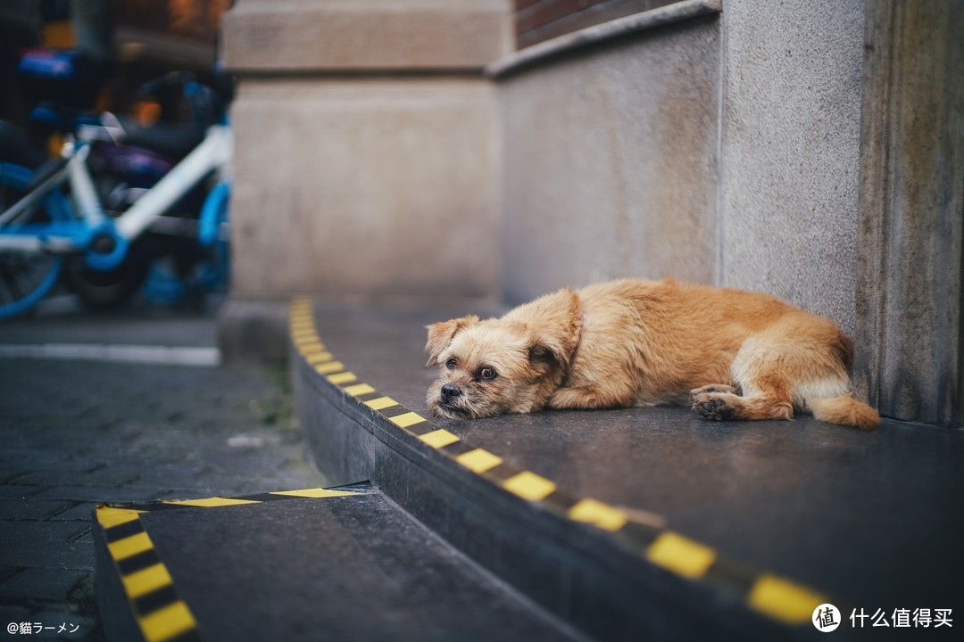 每一个f/0.95的镜头都是传奇,铭匠50mm F0.95asph体验报告