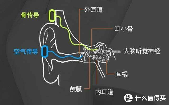 小巧轻便，陪伴运动的小助手——南卡Runner CC骨传导耳机新体验