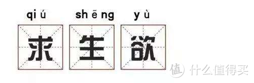 我经历过的牙科治疗：龋齿、拔牙、立事牙、根管治疗、烤瓷牙、儿童牙齿损伤