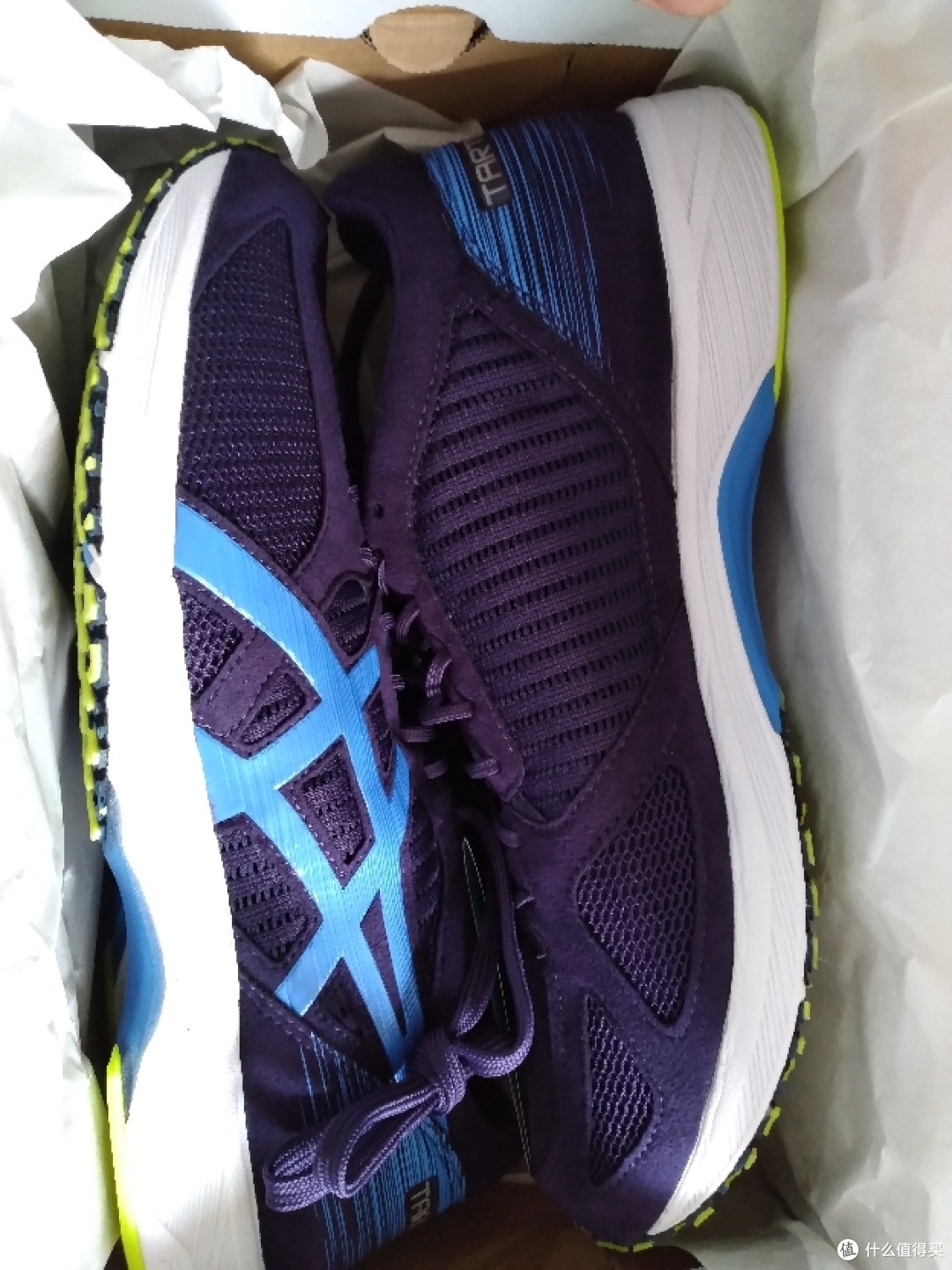 双虎傍地走安能辨我是雄雌虎走6和虎走7对比