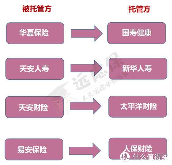 新华重疾险全线测评，哪款最值得买？