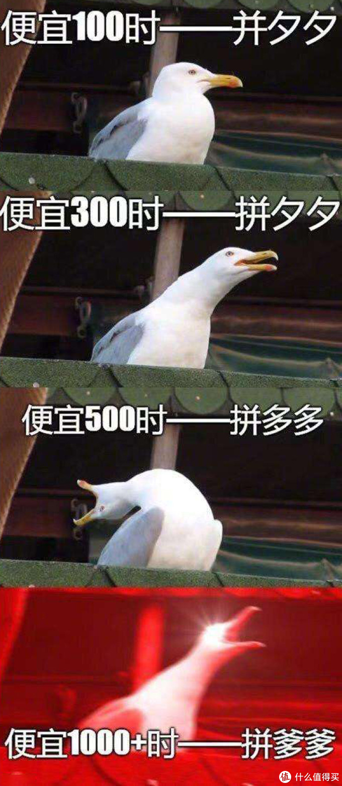 勇士上车!!!——拼多多百亿补贴美妆购物体验