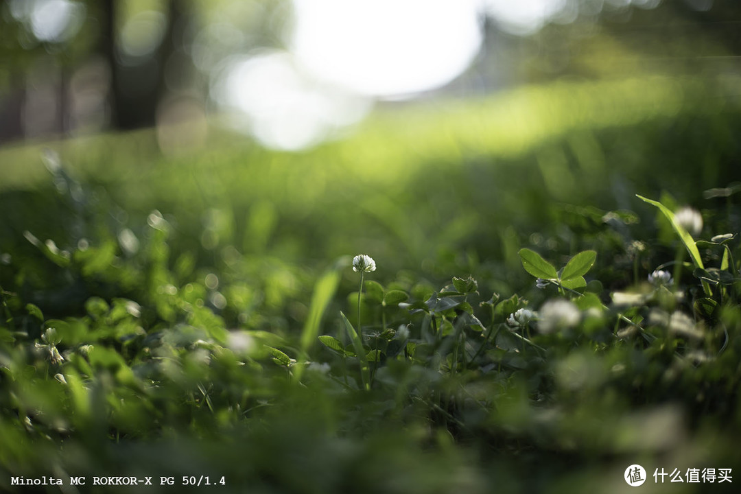 胶片时代的心头好 -  50mm F1.4 标准镜头