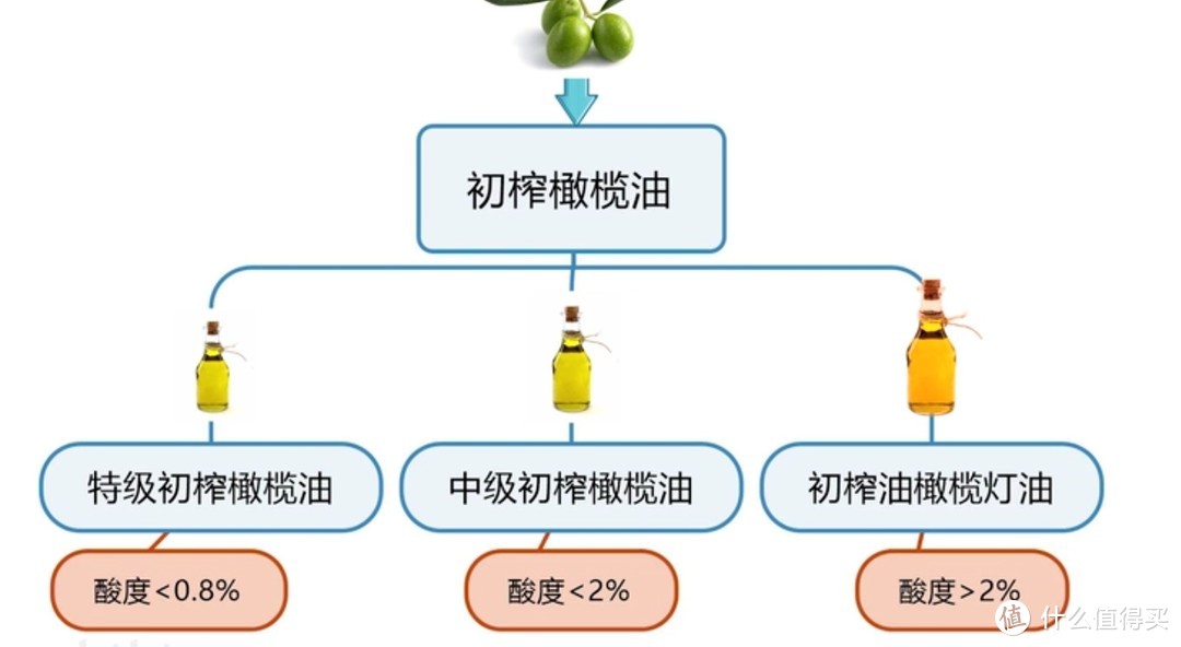 橄榄油  篇二：神话色彩的 “面纱” ？