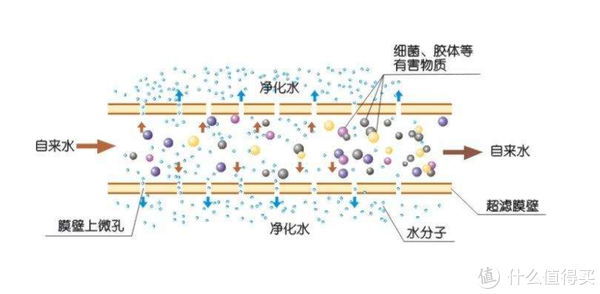 图片源于网络，侵删