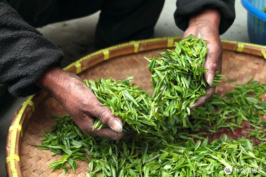 5款热门特级二等黄山毛峰茶详细测评对比——多维度评茶，含黄山毛峰详细避坑指南