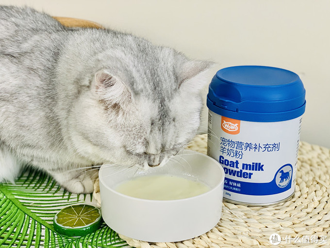 一口就爱上的羊奶粉，专治讨厌喝水的猫！