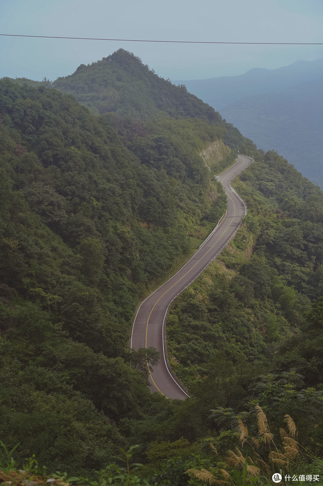 自驾四明山，游走浙江最美盘山路，芦苇、竹林、溪流、古村落