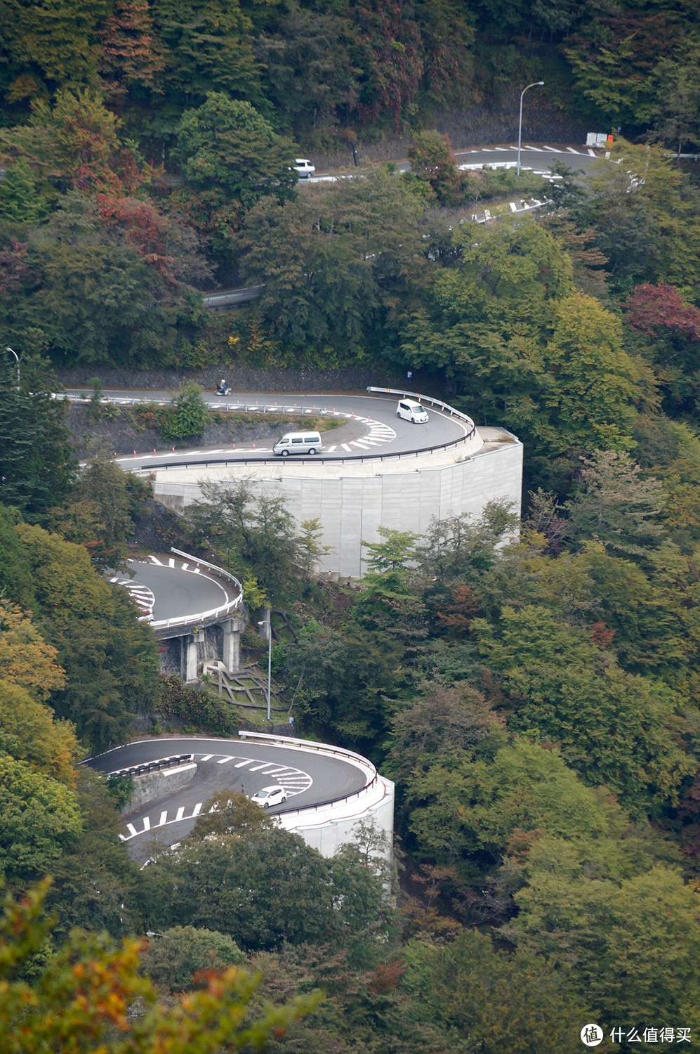 自驾四明山，游走浙江最美盘山路，芦苇、竹林、溪流、古村落