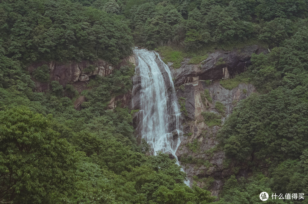 自驾四明山，游走浙江最美盘山路，芦苇、竹林、溪流、古村落