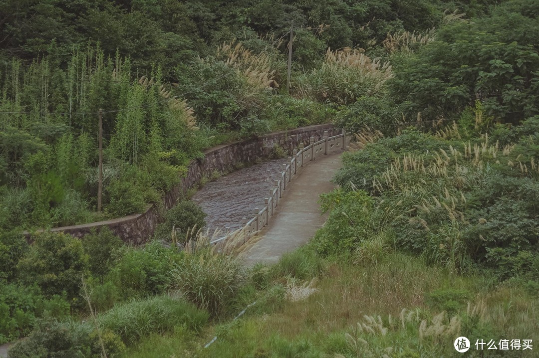 自驾四明山，游走浙江最美盘山路，芦苇、竹林、溪流、古村落