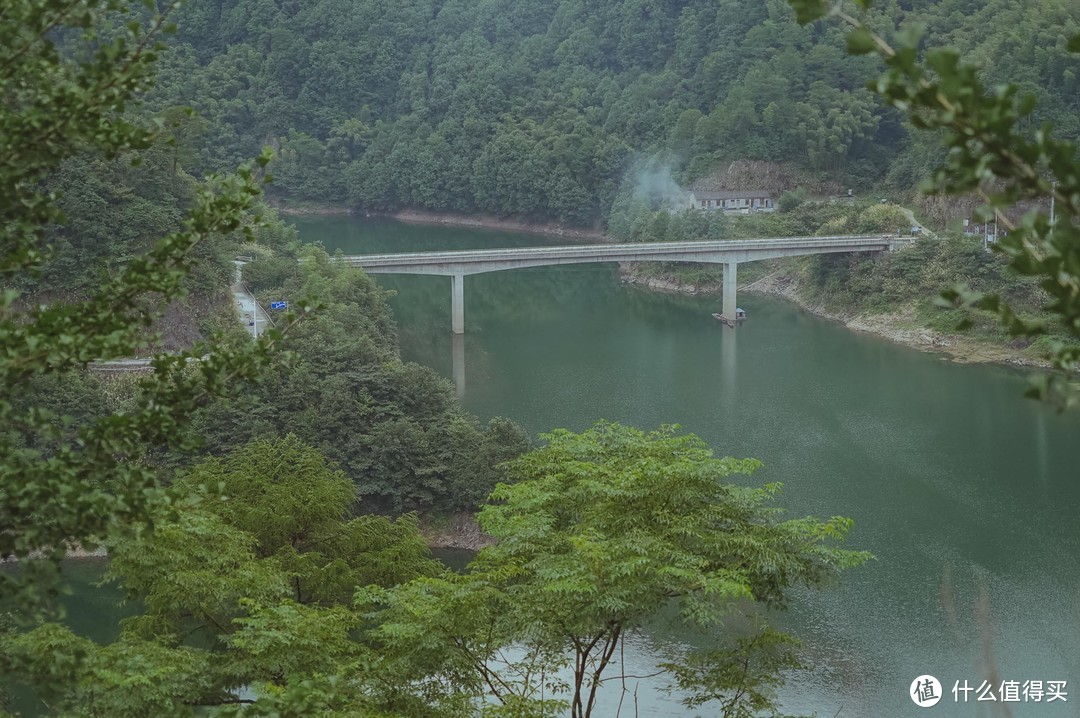 自驾四明山，游走浙江最美盘山路，芦苇、竹林、溪流、古村落