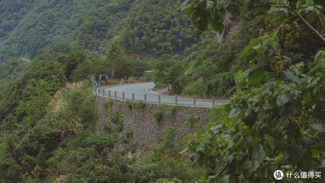 自驾四明山，游走浙江最美盘山路，芦苇、竹林、溪流、古村落