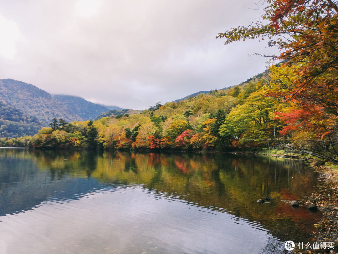 自驾四明山，游走浙江最美盘山路，芦苇、竹林、溪流、古村落