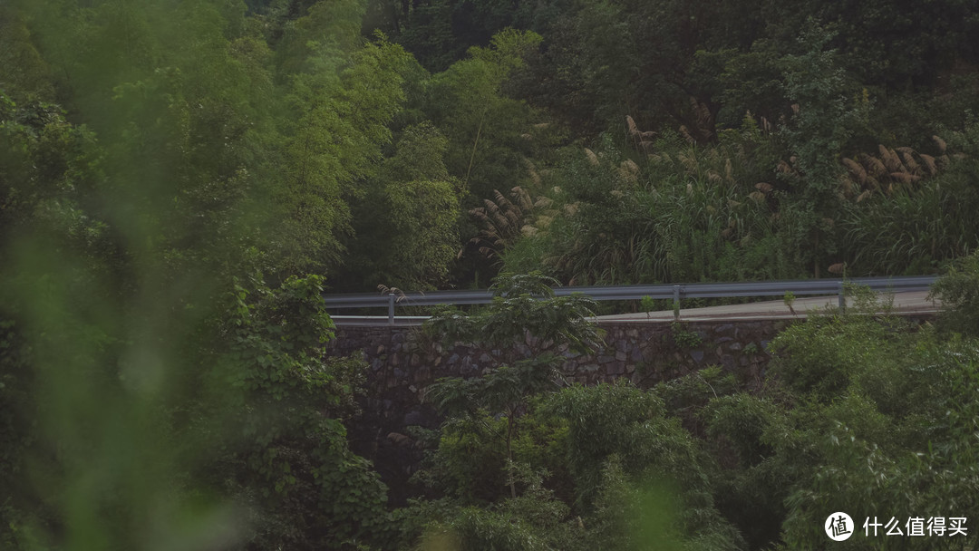 自驾四明山，游走浙江最美盘山路，芦苇、竹林、溪流、古村落