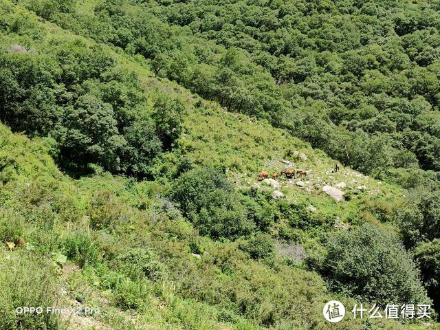 「科技犬游记」灵山古道徒步登顶往返7个多小时 登山意义究竟是啥